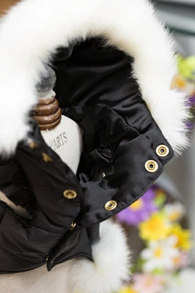 ブルブブ BUL BU-BU キラキラベア中綿P/K【小型犬 犬服 アウター ジャケット セレブ】