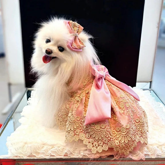 リュクスバーディ Luxe birdie エタニティドレス【小型犬 犬服 ワンピース ドレス スカート セレブ】