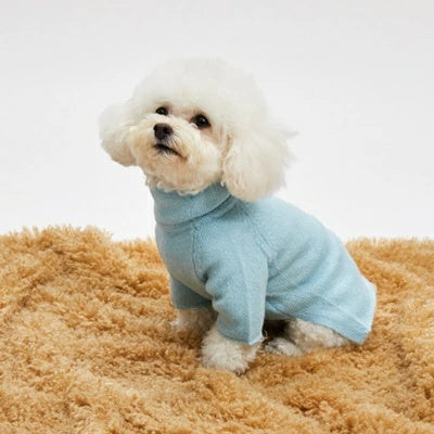 ルイスドッグ louisdog Baby Powder Cashmere Scarf Set【小型犬 犬服 トップス ニット セーター スカーフ セット セレブ】