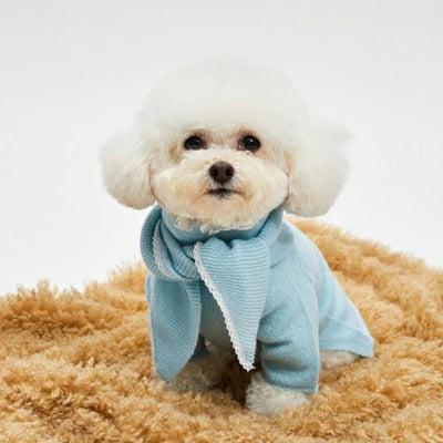 ルイスドッグ louisdog Baby Powder Cashmere Scarf Set【小型犬 犬服 トップス ニット セーター スカーフ セット セレブ】
