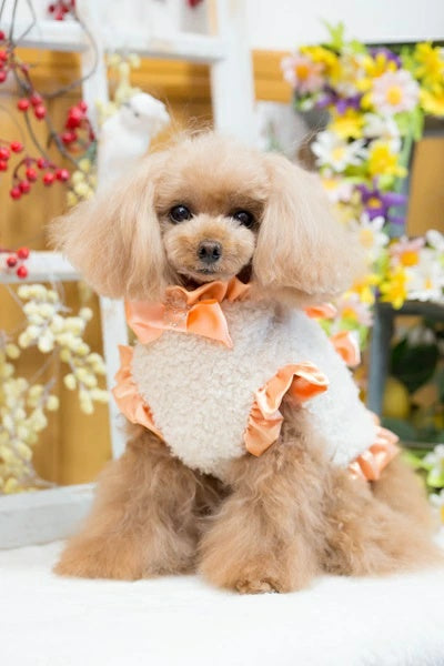 ブルブブ BUL BU-BU Ribbon 【予約】ファーベスト【小型犬 犬服 アウター ジャケット ベスト セレブ】