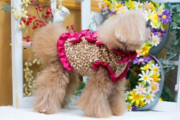 ブルブブ BUL BU-BU Ribbon 【予約】ファーベスト【小型犬 犬服 アウター ジャケット ベスト セレブ】