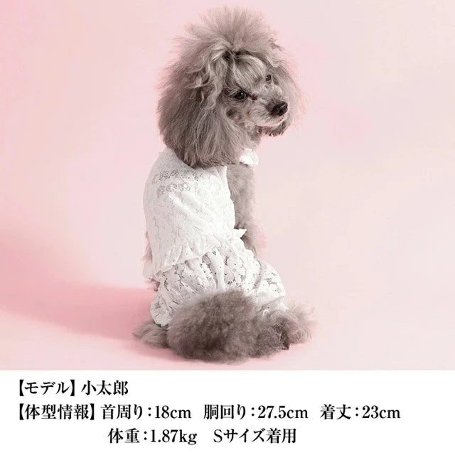 クレイジーブー CRAZYBOO レーシーつなぎ【犬服 つなぎ ロンパース ズボン セレブ】