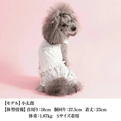 クレイジーブー CRAZYBOO レーシーつなぎ【犬服 つなぎ ロンパース ズボン セレブ】