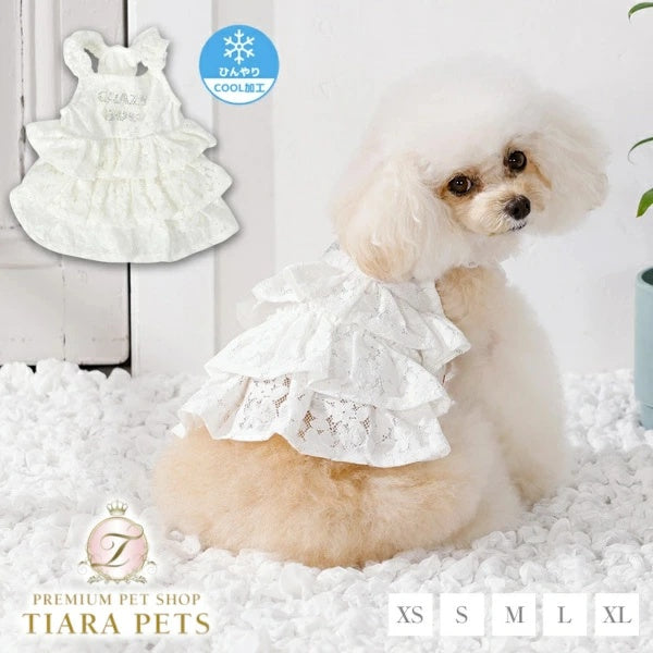 クレイジーブー CRAZYBOO 肩フリルレーシーワンピ【犬服 ワンピース スカート ドレス セレブ】