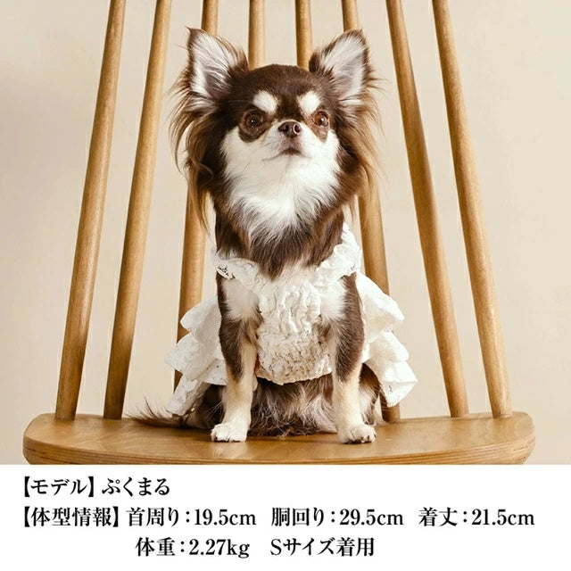 クレイジーブー CRAZYBOO 肩フリルレーシーワンピ【犬服 ワンピース スカート ドレス セレブ】