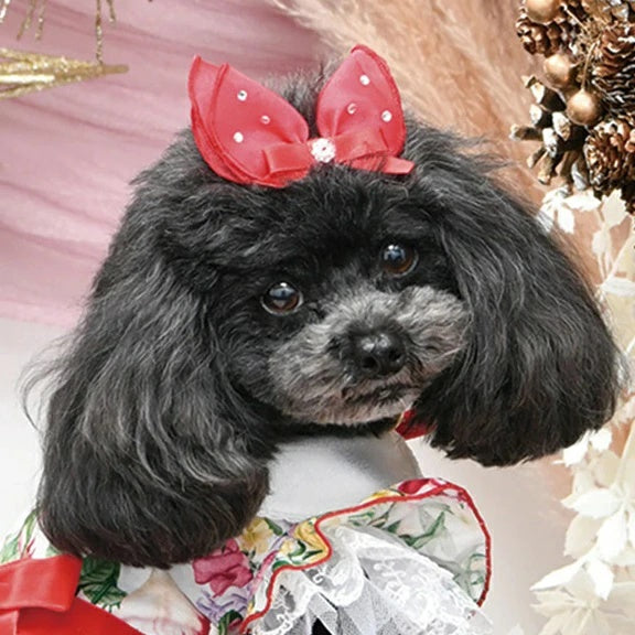 リュクスバーディ Luxe birdie プティラパンバレッタ【小型犬 犬用 ヘアアクセサリー バレッタ セレブ】