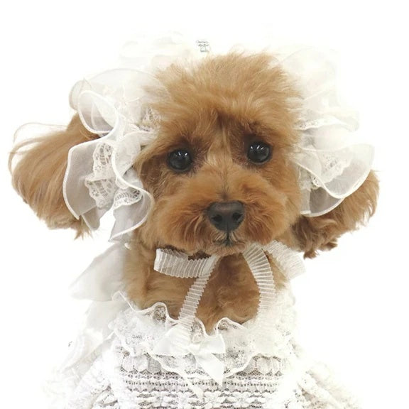 リュクスバーディ Luxe birdie プレジールシュシュ【小型犬 犬用 ヘアアクセサリー シュシュ セレブ】