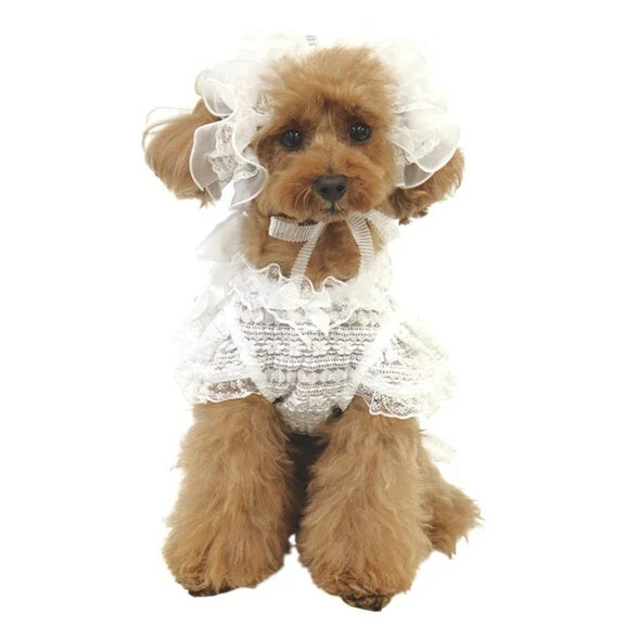 リュクスバーディ Luxe birdie ダンテルタンクトップ【小型犬 犬服 トップス タンクトップ セレブ】