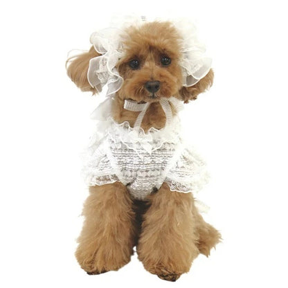 リュクスバーディ Luxe birdie ダンテルタンクトップ【小型犬 犬服 トップス タンクトップ セレブ】