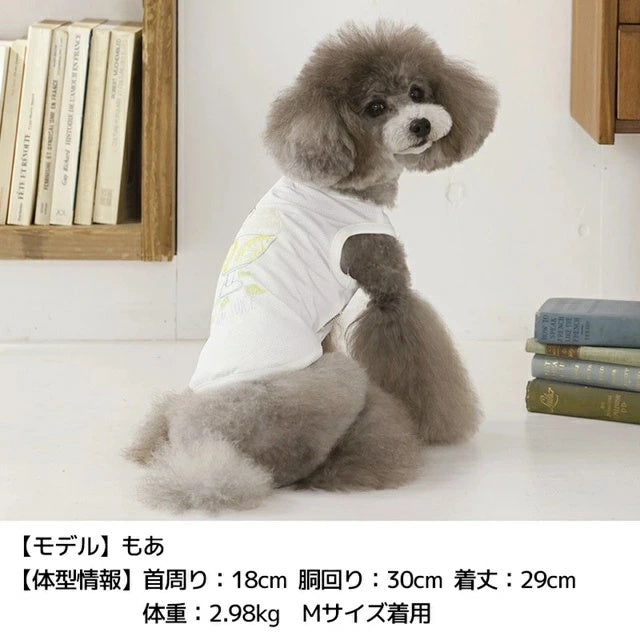 ティノティート TINOTITO レモンジュースメッシュタンク【小型犬 犬服 ドッグウェア トップス タンクトップ】