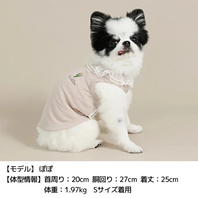 ティノティート TINOTITO ネックフリルリブタンク【小型犬 犬服 ドッグウェア トップス タンクトップ】