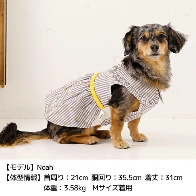 ティノティート TINOTITO 小花ストライプワンピ【小型犬 犬服 ドッグウェア ワンピース スカート ドレス】