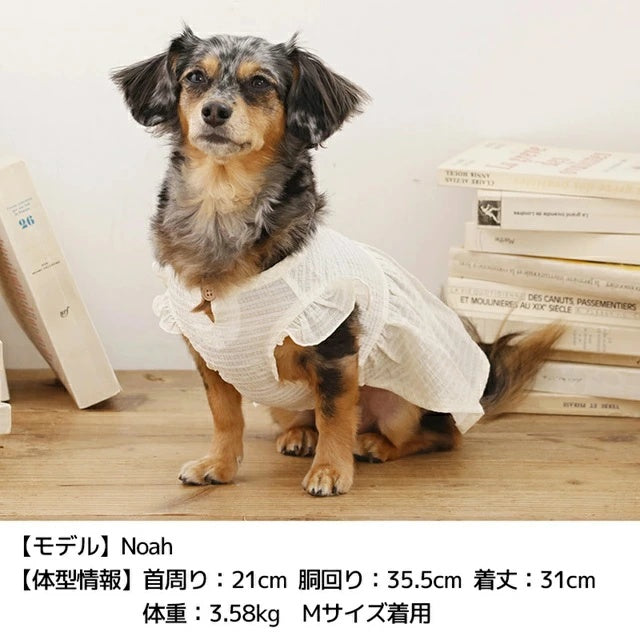 ティノティート TINOTITO 透かしフリル袖ワンピ【小型犬 犬服 ドッグウェア ワンピース スカート ドレス】