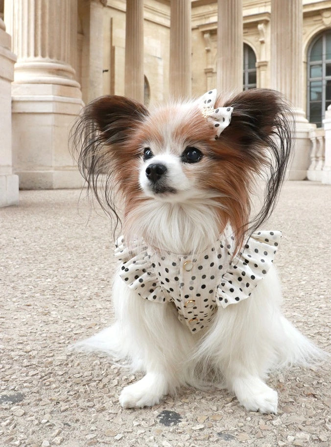 ミムット mimtto Silky Dot Barrette【小型犬 犬用 ヘアアクセサリー バレッタ セレブ】