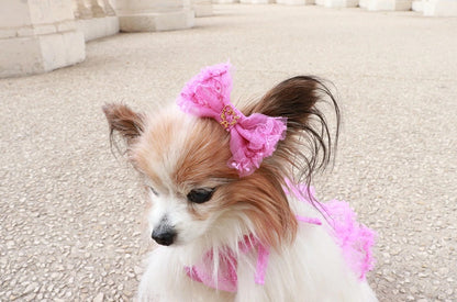 ミムット mimtto Tiered Tulle Barrette【小型犬 犬用 ヘアアクセサリー バレッタ セレブ】