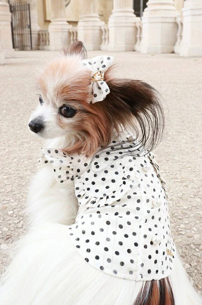 ミムット mimtto ★予約商品★ Silky Dot Blouse【小型犬 犬服 ドッグウェア トップス ブラウス セレブ】