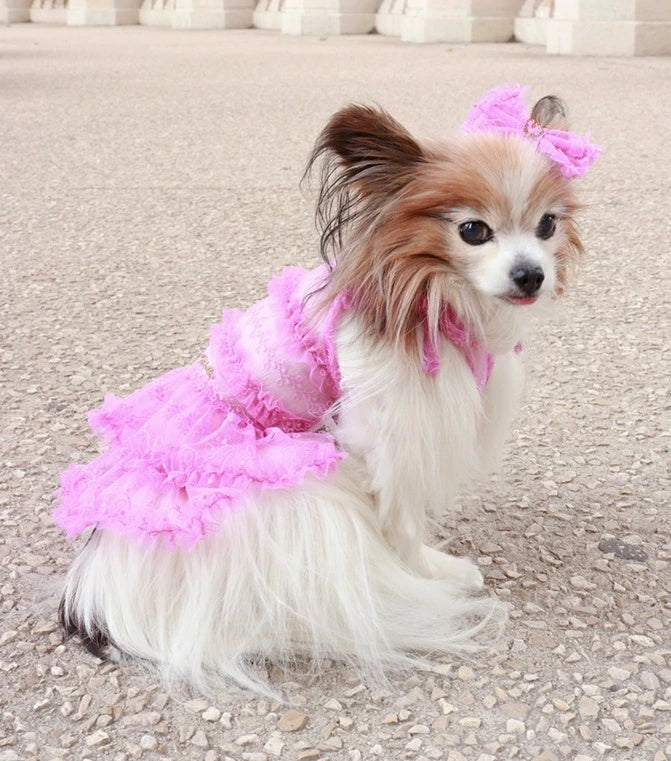 ミムット mimtto Tiered Tulle Dress【小型犬 犬服 ドッグウェア ワンピース ドレス スカート セレブ】