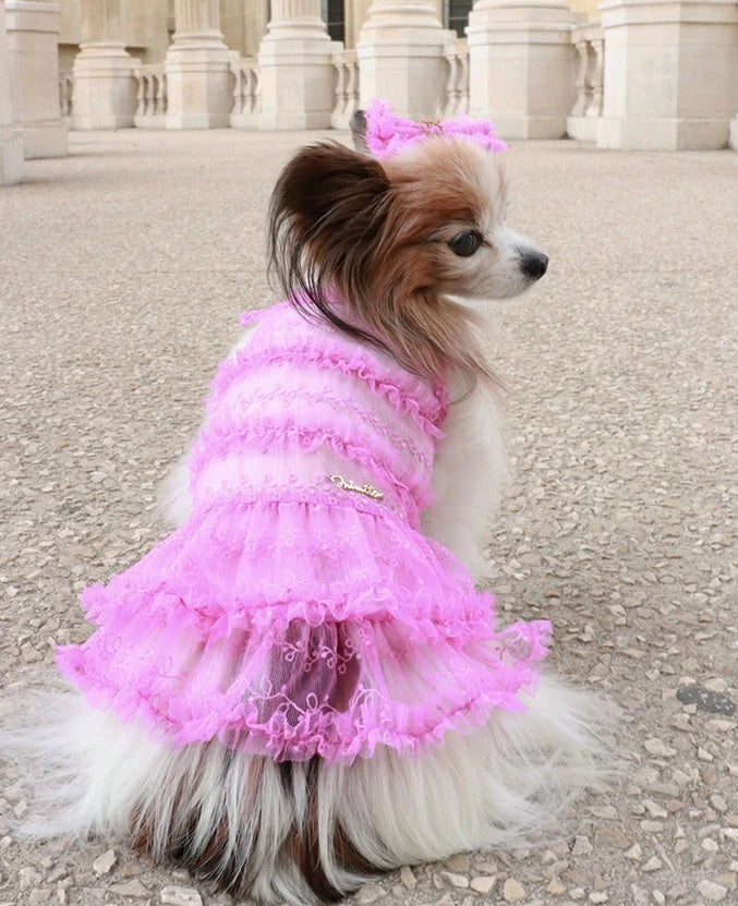 ミムット mimtto Tiered Tulle Dress【小型犬 犬服 ドッグウェア ワンピース ドレス スカート セレブ】