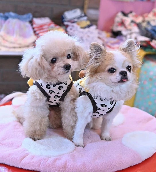 J&Kアニマルズ J&K animals ☆予約受付中☆TORA Tシャツ【小型犬 犬服 トップス Tシャツ ドレス】