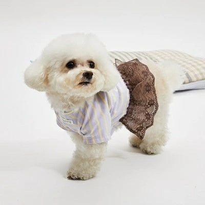 ルイスドッグ louisdog Strawberry Cake TEE【小型犬 犬服 ドッグウェア トップス Tシャツ セレブ】