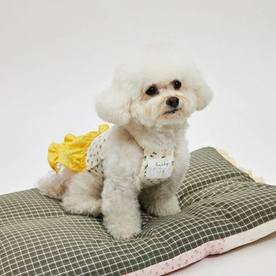 ルイスドッグ louisdog Egg Mayo Dress【小型犬 犬服 ドッグウェア ワンピース ドレス スカート セレブ】