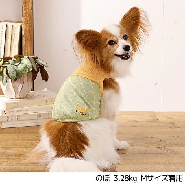 ディーズチャット D's CHAT フルーツメッシュタンク【犬服 ドッグウェア トップス タンクトップ セレブ】