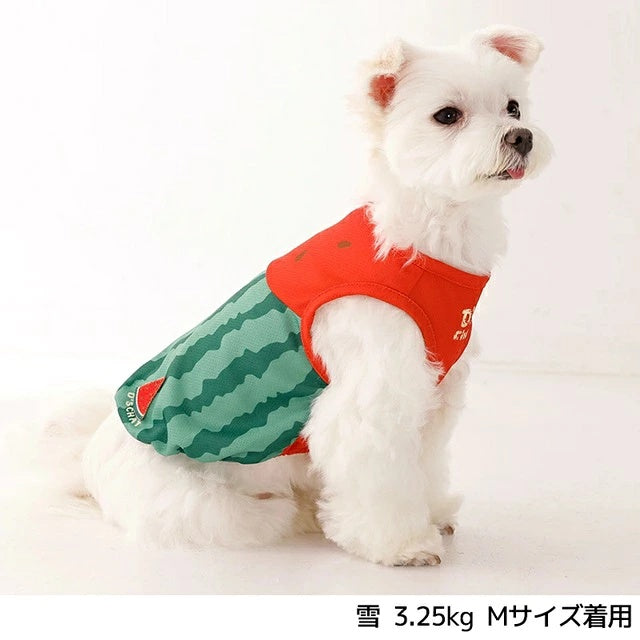 ディーズチャット D's CHAT フルーツメッシュタンク【犬服 ドッグウェア トップス タンクトップ セレブ】