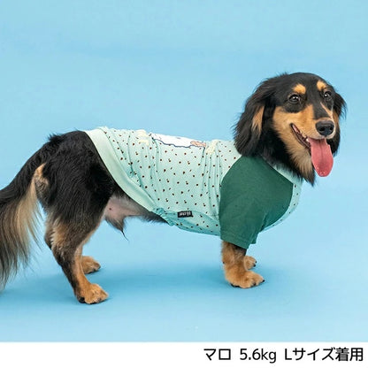 ディーズチャット D's CHAT ディーズ君ラグランTシャツ【犬服 ドッグウェア トップス Tシャツ セレブ】