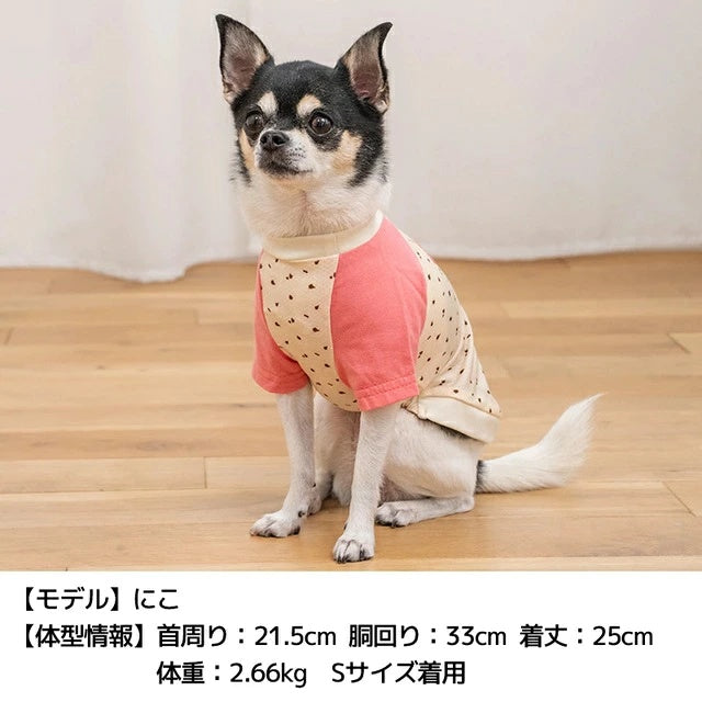 ディーズチャット D's CHAT ディーズ君ラグランTシャツ【犬服 ドッグウェア トップス Tシャツ セレブ】