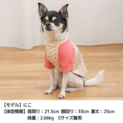 ディーズチャット D's CHAT ディーズ君ラグランTシャツ【犬服 ドッグウェア トップス Tシャツ セレブ】