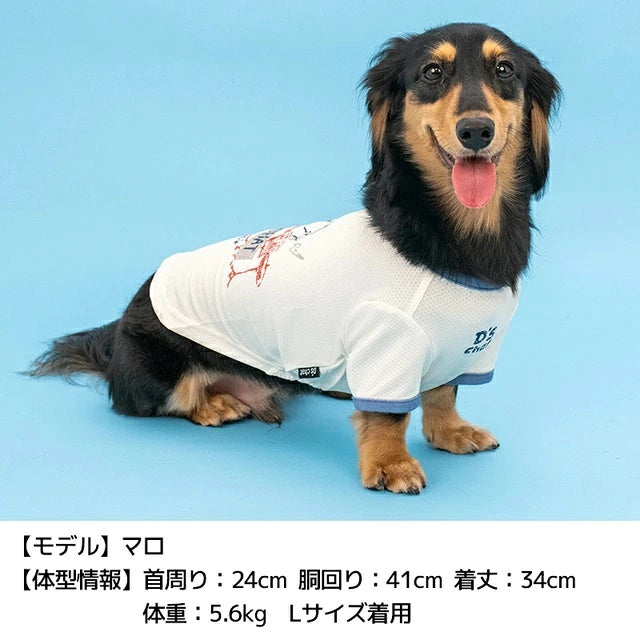 ディーズチャット D's CHAT ディーズ君ドラムTシャツ【犬服 ドッグウェア トップス Tシャツ セレブ】