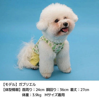 ディーズチャット D's CHAT ボタニカルシャツパンツ【犬服 ドッグウェア つなぎ ロンパース パンツ ズボン セレブ】