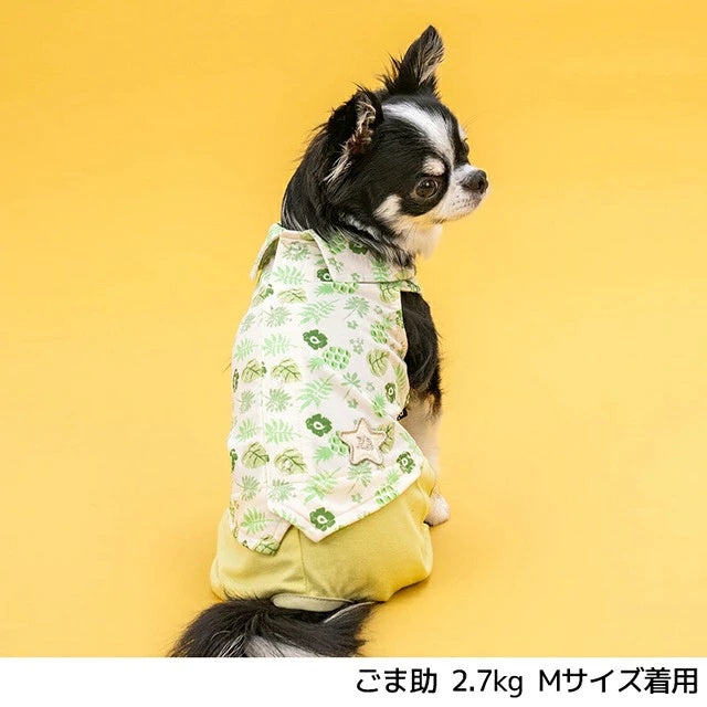 ディーズチャット D's CHAT ボタニカルシャツパンツ【犬服 ドッグウェア つなぎ ロンパース パンツ ズボン セレブ】