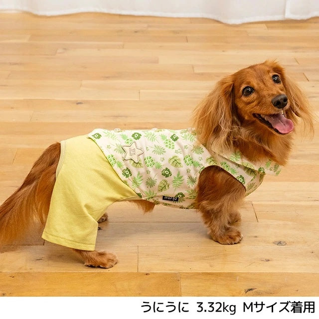 ディーズチャット D's CHAT ボタニカルシャツパンツ【犬服 ドッグウェア つなぎ ロンパース パンツ ズボン セレブ】