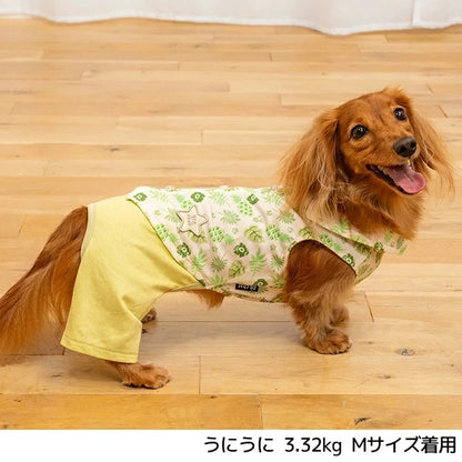 ディーズチャット D's CHAT ボタニカルシャツパンツ【犬服 ドッグウェア つなぎ ロンパース パンツ ズボン セレブ】