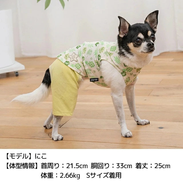 ディーズチャット D's CHAT ボタニカルシャツパンツ【犬服 ドッグウェア つなぎ ロンパース パンツ ズボン セレブ】