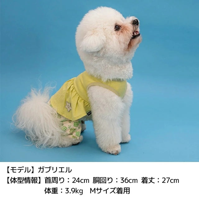 ディーズチャット D's CHAT ボタニカルスカートパンツ 【犬服 ドッグウェア つなぎ ロンパース パンツ ズボン セレブ】