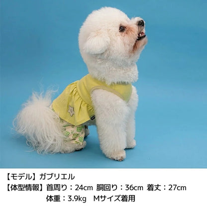 ディーズチャット D's CHAT ボタニカルスカートパンツ 【犬服 ドッグウェア つなぎ ロンパース パンツ ズボン セレブ】