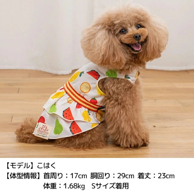 ディーズチャット D's CHAT ストレッチフルーツワンピ【犬服 ドッグウェア ワンピース スカート ドレス セレブ】