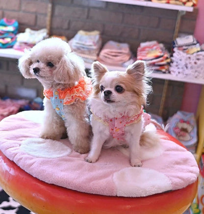 J&K동물 J&K animals ☆예약 접수중☆꽃딸기 원피스【소형견 개옷 원피스 스커트 드레스】