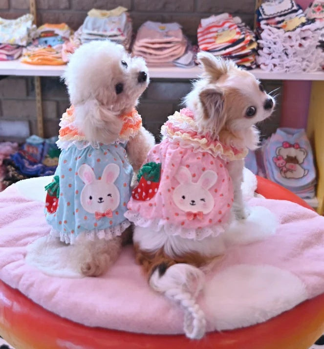 J&K동물 J&K animals ☆예약 접수중☆꽃딸기 원피스【소형견 개옷 원피스 스커트 드레스】