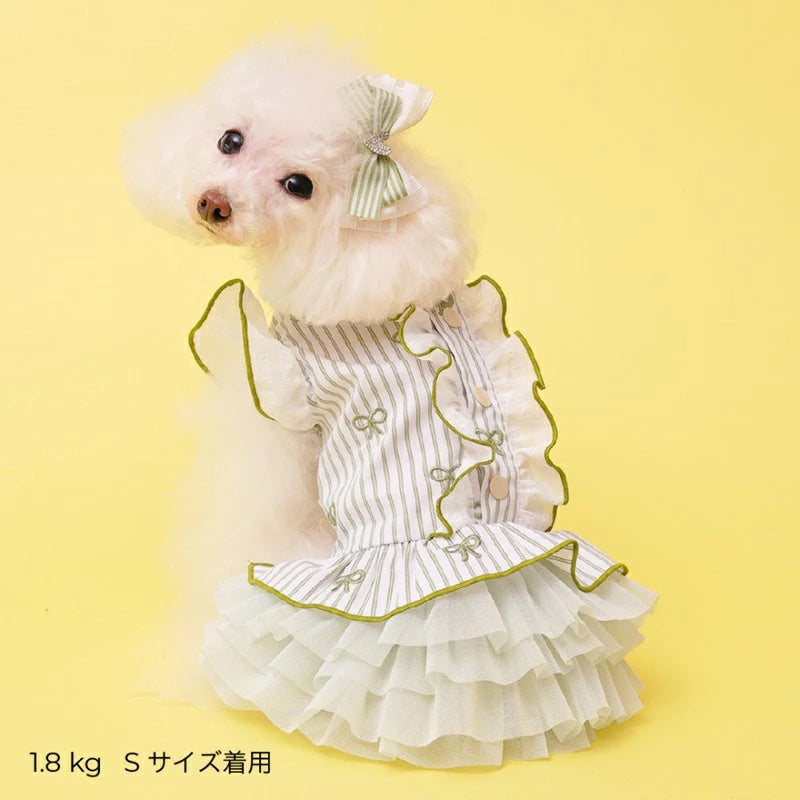 ゴッドピヴァ GODPIVA ストライプリボンフリルワンピース【小型犬 犬服 ワンピース スカート ドレス セレブ】