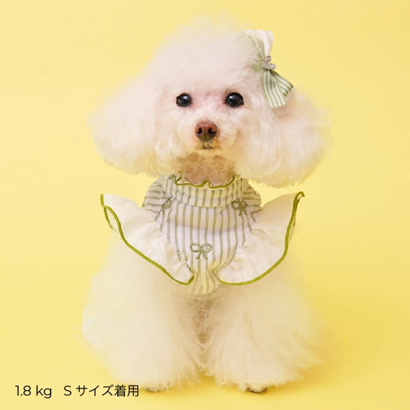 ゴッドピヴァ GODPIVA ストライプリボンフリルワンピース【小型犬 犬服 ワンピース スカート ドレス セレブ】