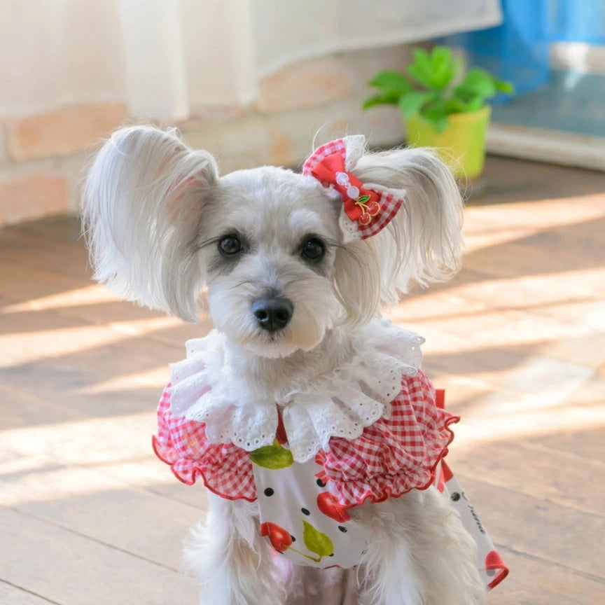 きゃんナナ CanNana ★ご予約★ ギンガム×チェリーバレッタリボン LB-333【小型犬 アクセサリー ヘアーアクセサリー リボン バレッタ】