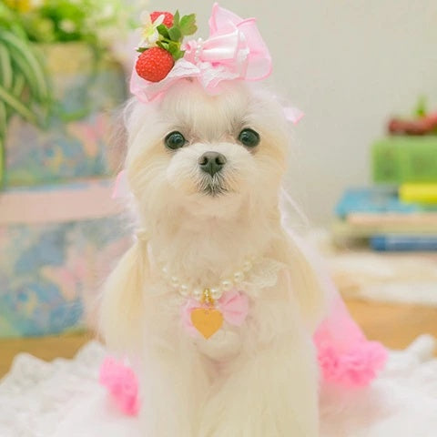 きゃんナナ CanNana フレッシュストロベリーバレッタリボン LB-330【小型犬 アクセサリー ヘアーアクセサリー リボン バレッタ】