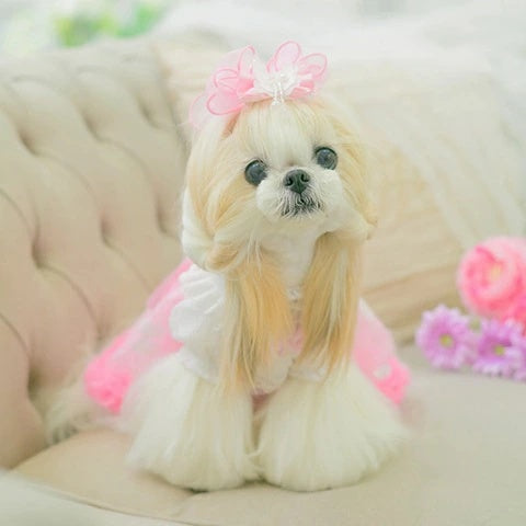 きゃんナナ CanNana きらきらバタフライバレッタリボン LB-329【小型犬 アクセサリー ヘアーアクセサリー リボン バレッタ】