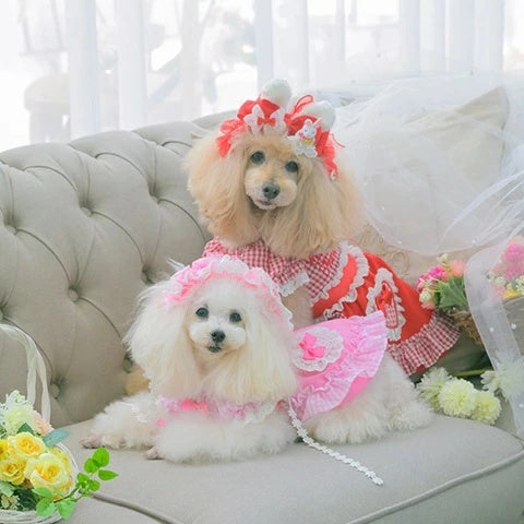 きゃんナナ CanNana うさぎデコカチューシャバレッタリボン LB-327【小型犬 アクセサリー ヘアーアクセサリー リボン バレッタ】