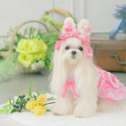 きゃんナナ CanNana うさぎデコカチューシャバレッタリボン LB-327【小型犬 アクセサリー ヘアーアクセサリー リボン バレッタ】