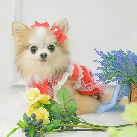 きゃんナナ CanNana ミニ姫リボン LB-1003【小型犬 アクセサリー ヘアーアクセサリー リボン バレッタ】